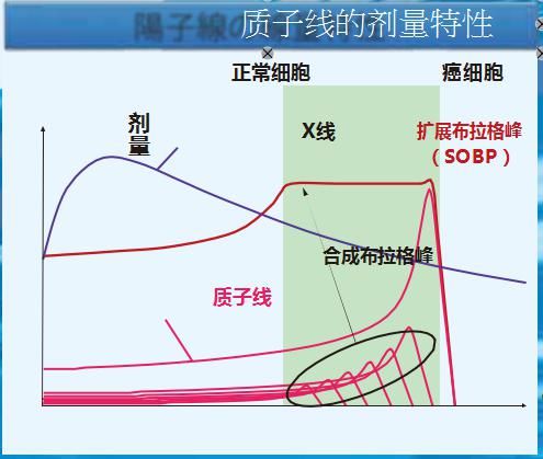 微信图片_20191017100418.jpg