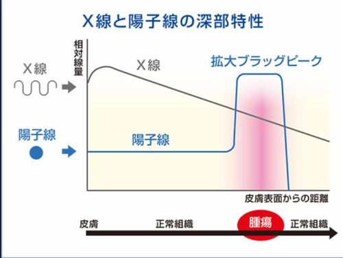 微信图片_20191017100425.jpg