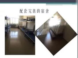 微信图片_20191104110443.jpg