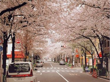 日本留学1.jpg